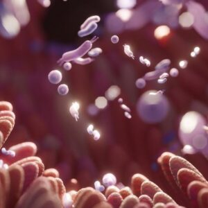 Bowel nosodes webinar